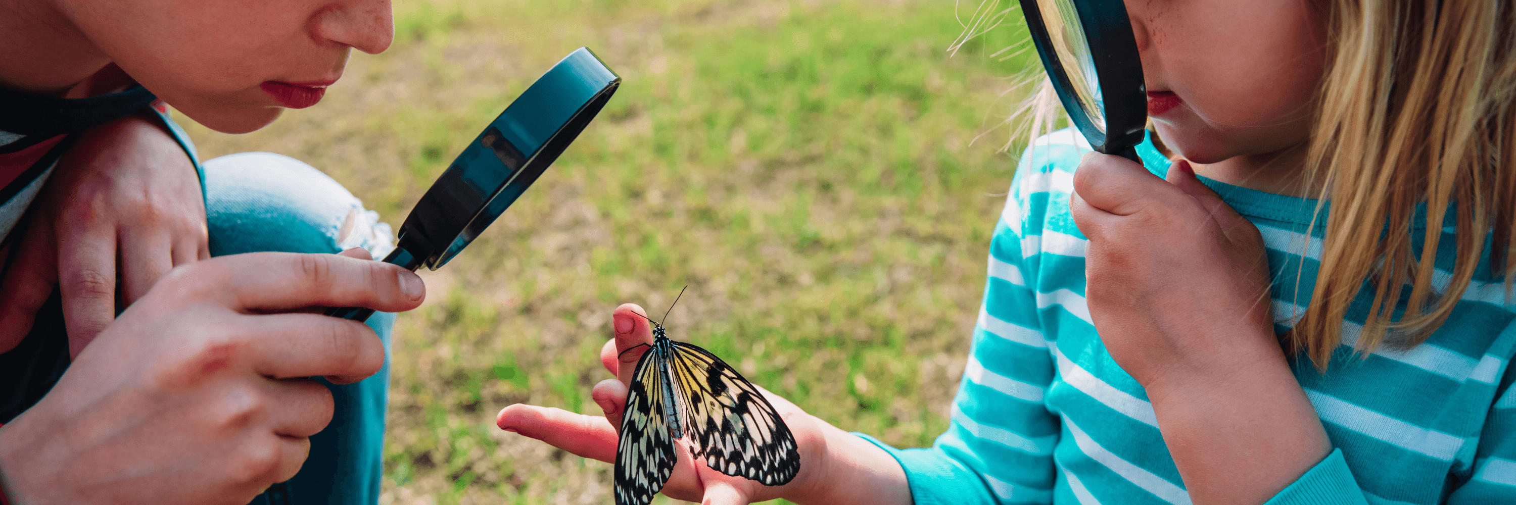 Montessori-Inspired Outdoor Activities for Kids to Explore Nature